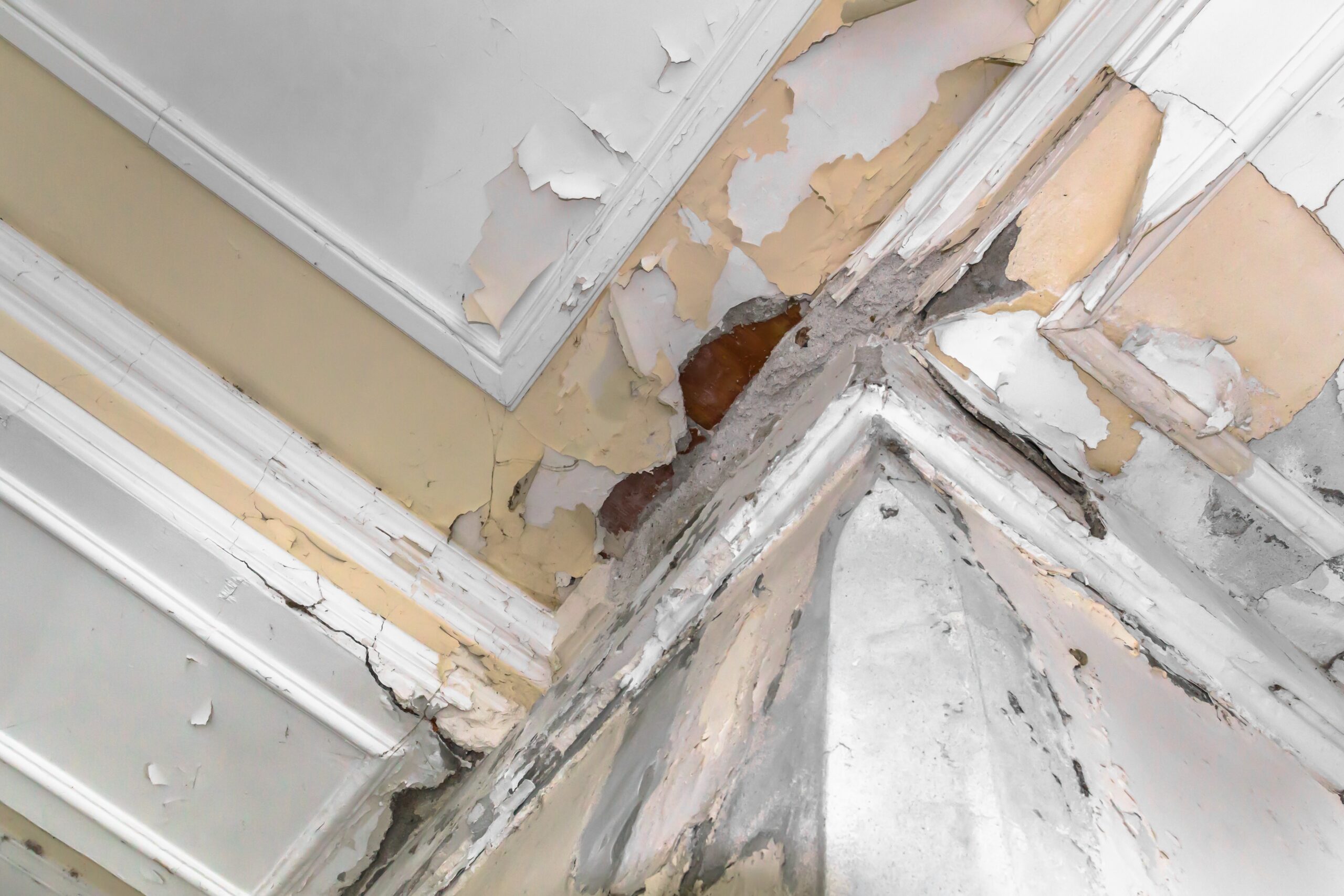 Peeling paint on an interior ceiling a result of humidity